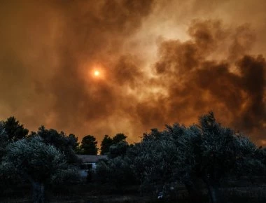 Εύβοια: Κανένα πλέον ενεργό μέτωπο φωτιάς στα Ψαχνά
